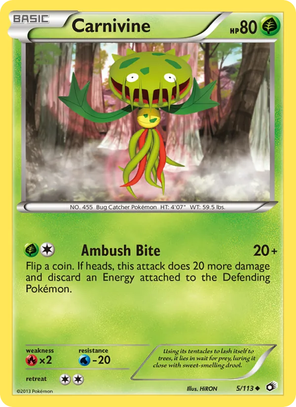 Card 5