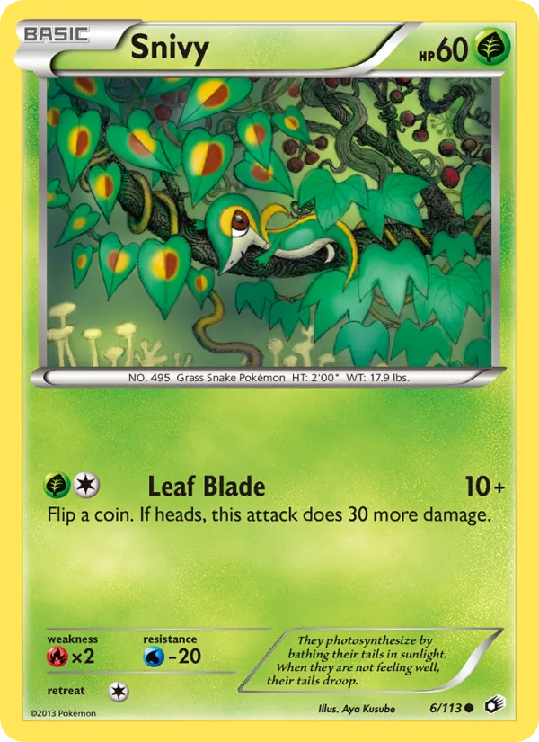 Card 6