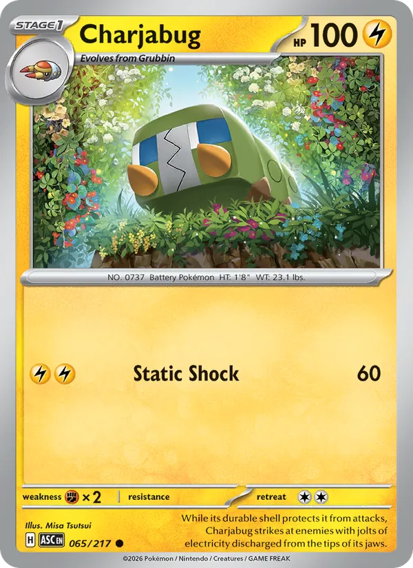 Card 065