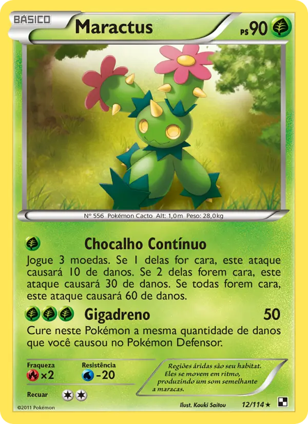 Carta 12