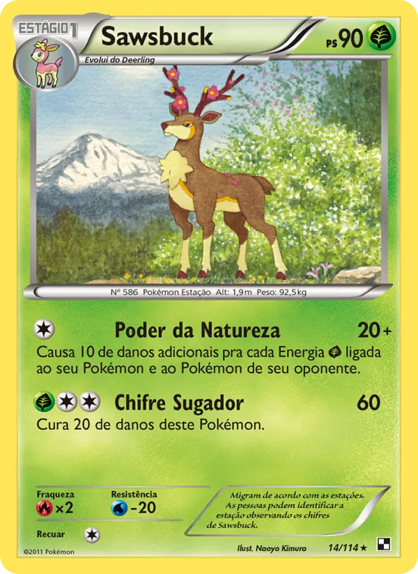 Carta 14