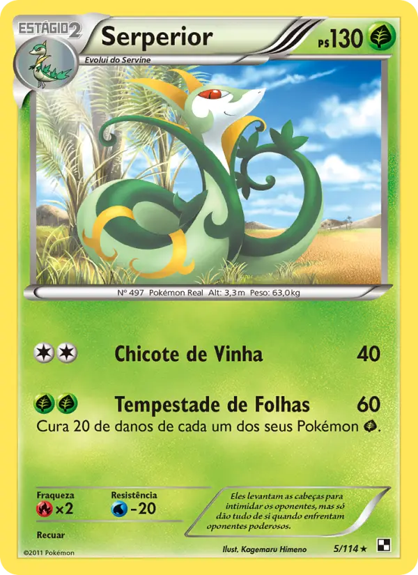 Carta 5