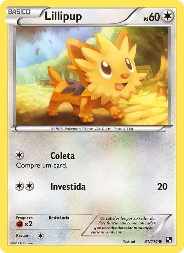 Carta 81