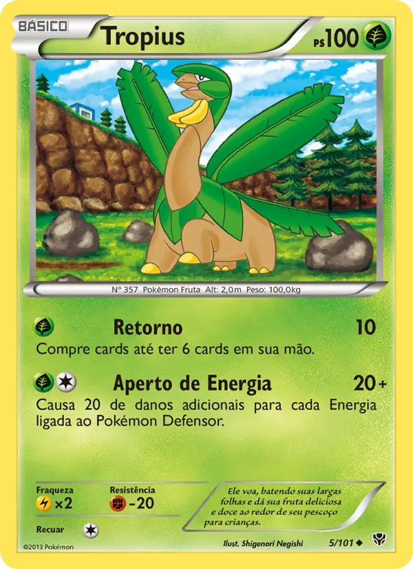 Carta 5