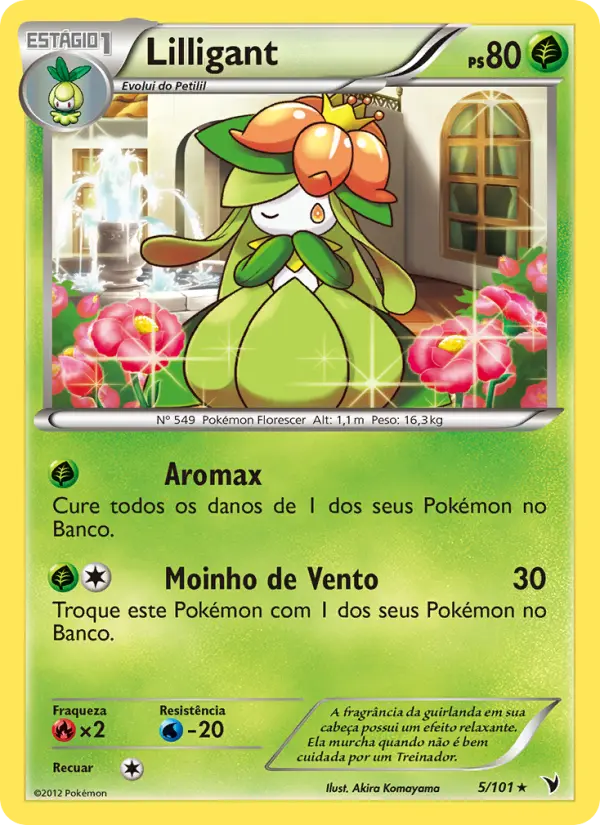 Carta 5