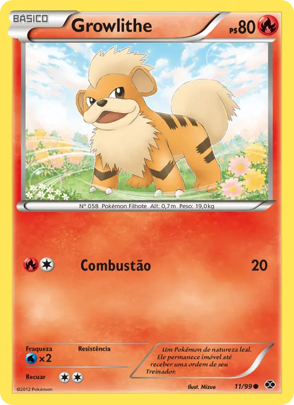 Carta 11