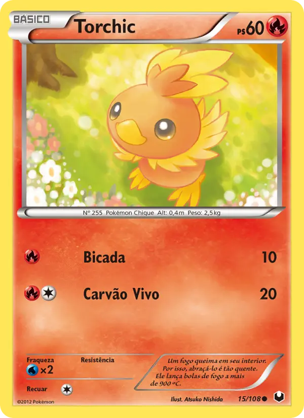 Carta 15
