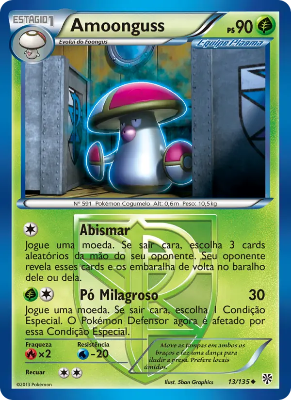 Carta 13