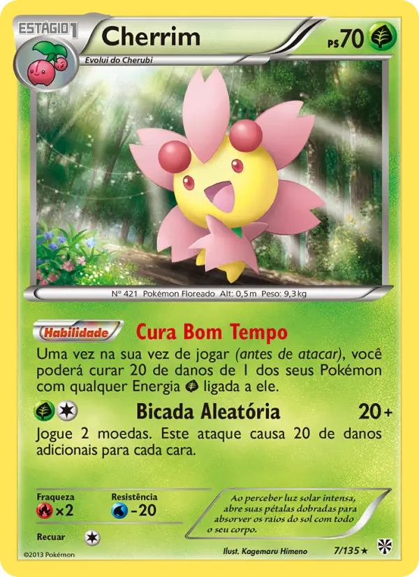 Carta 7