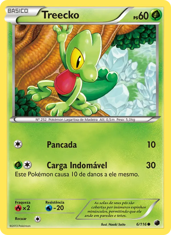 Carta 6