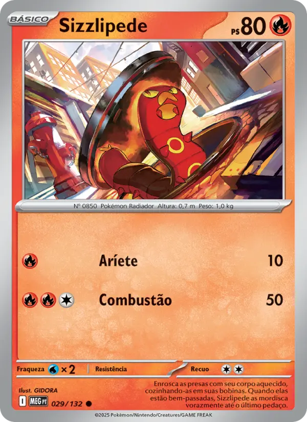 Carta 029