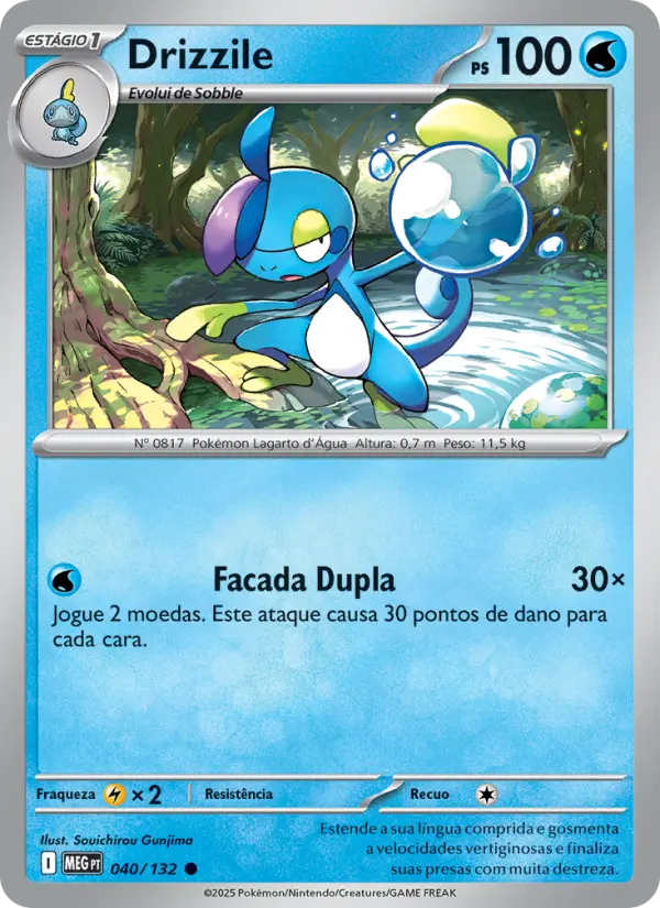 Carta 040