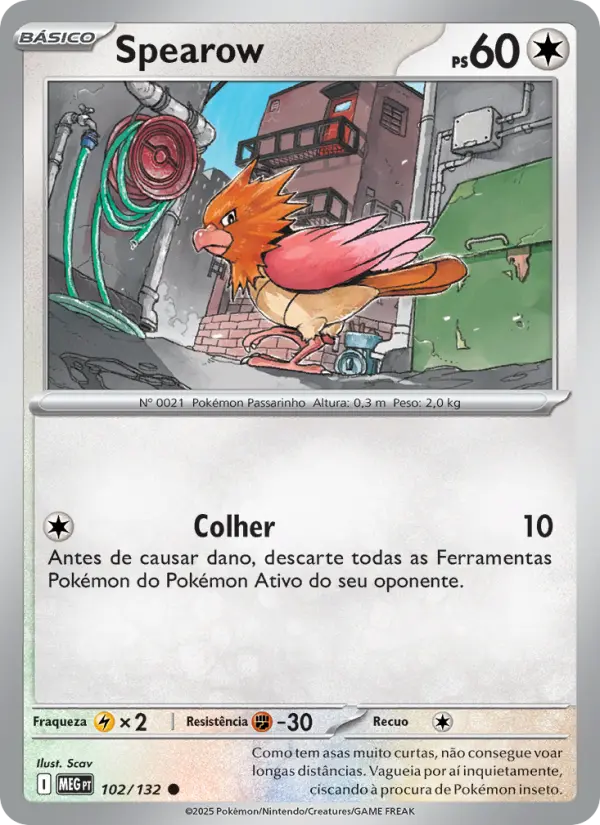 Carta 102