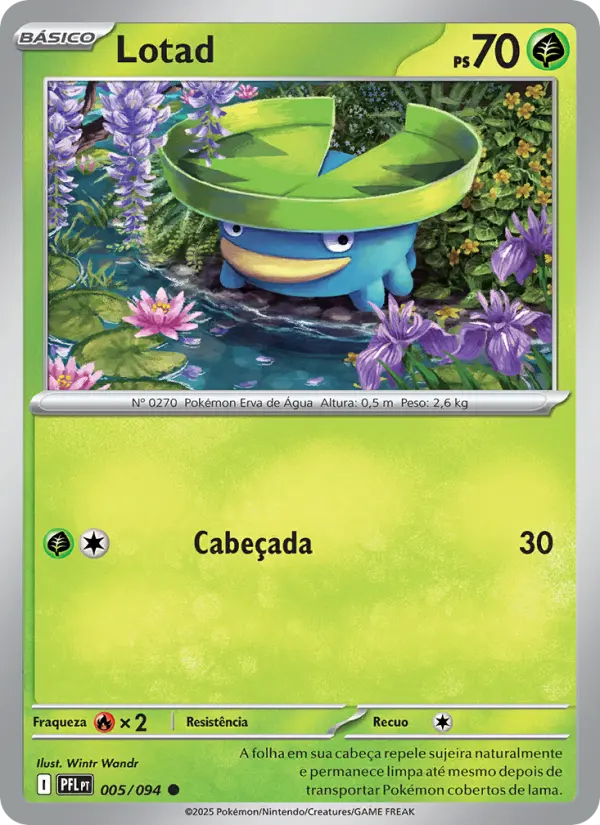 Carta 005