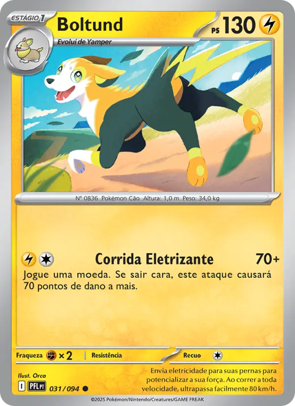 Carta 031