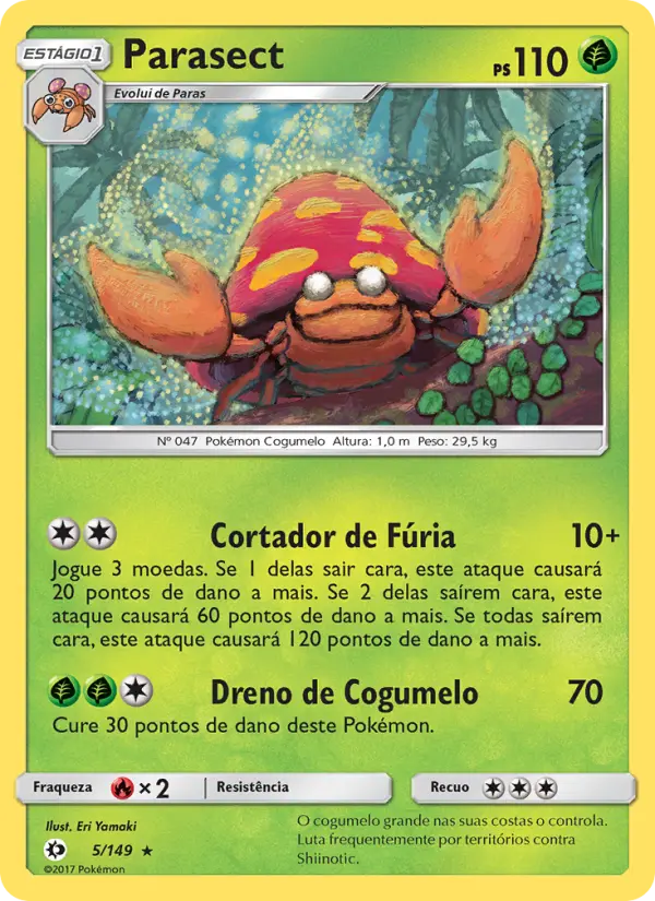 Carta 5