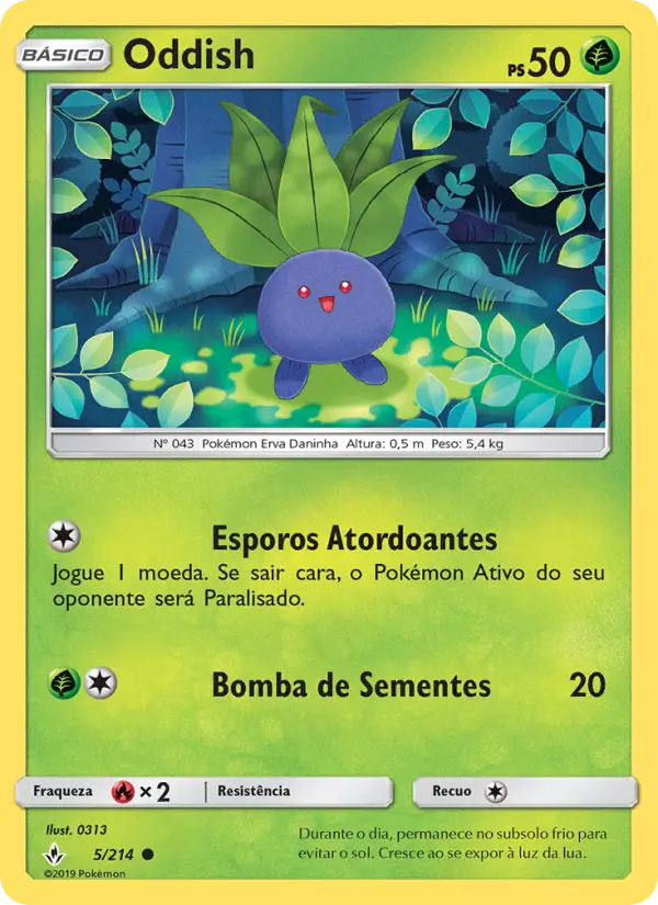 Carta 5