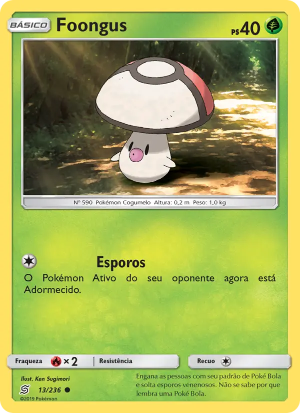 Carta 13