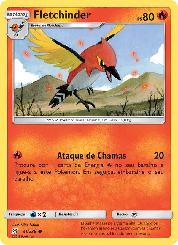 Carta 31