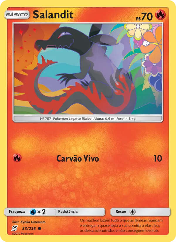 Carta 33