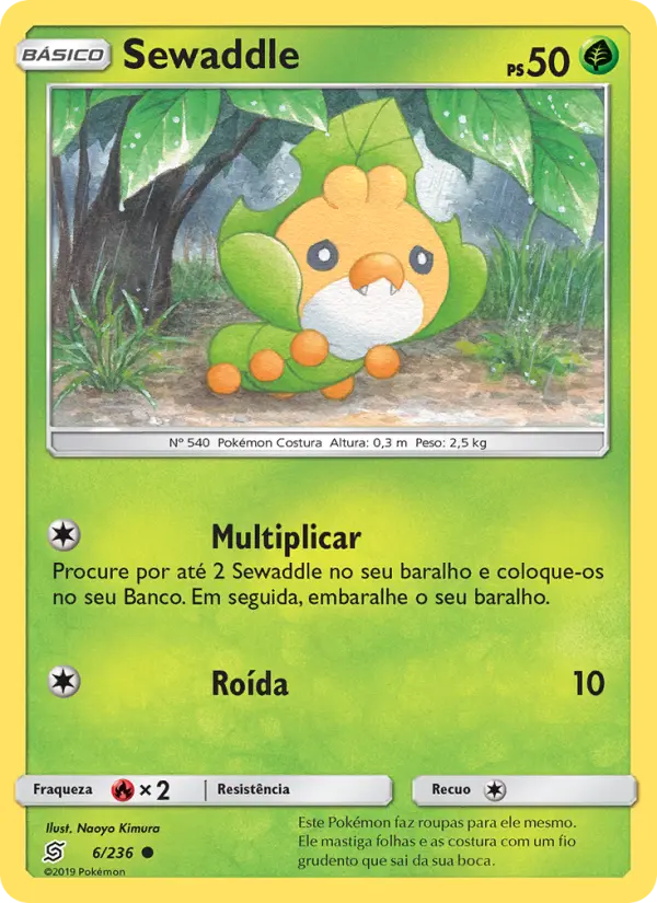 Carta 6