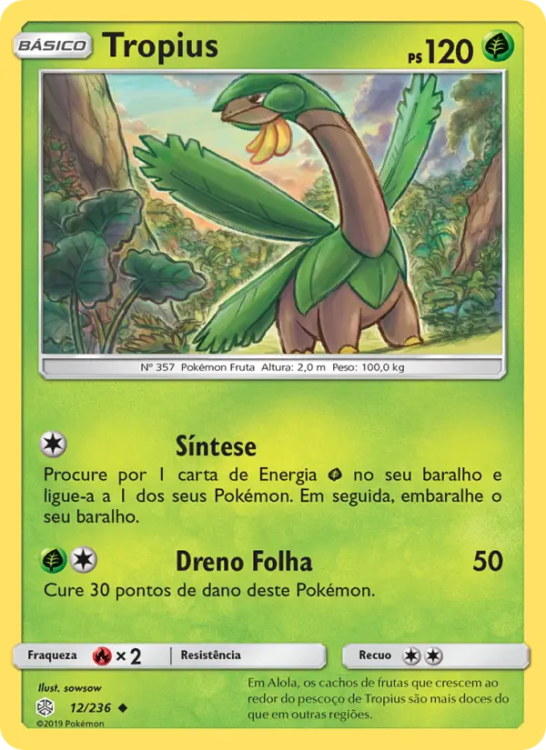 Carta 12
