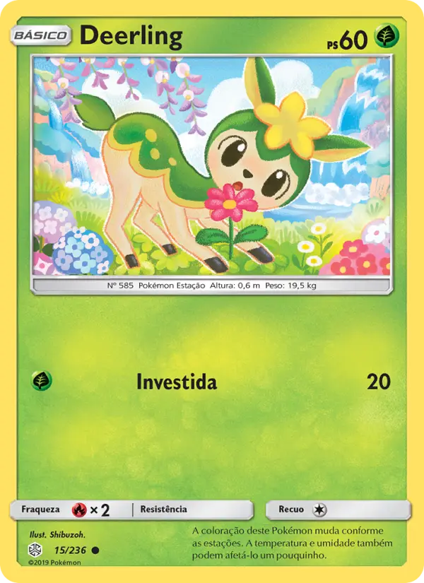 Carta 15