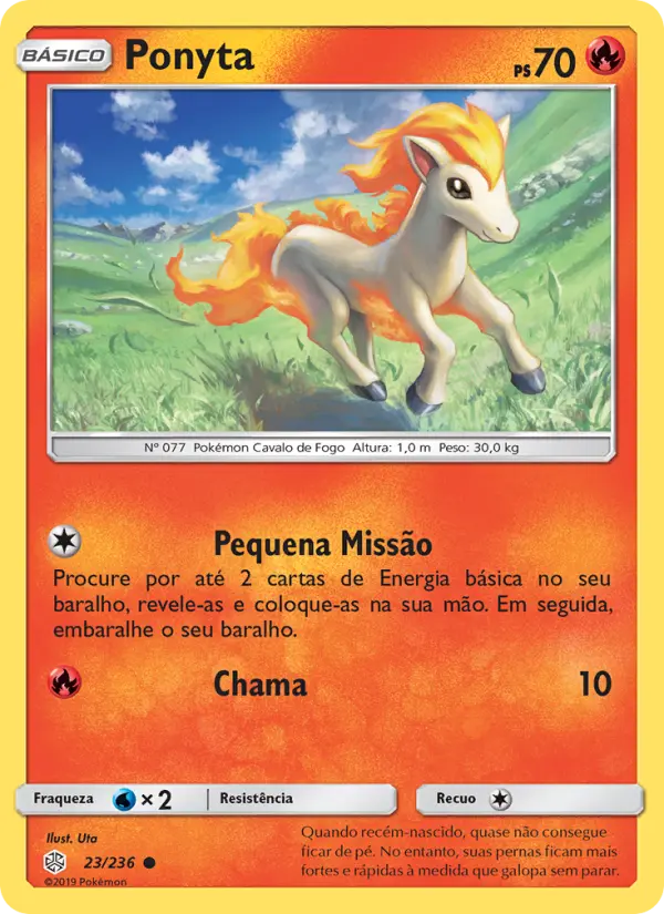 Carta 23