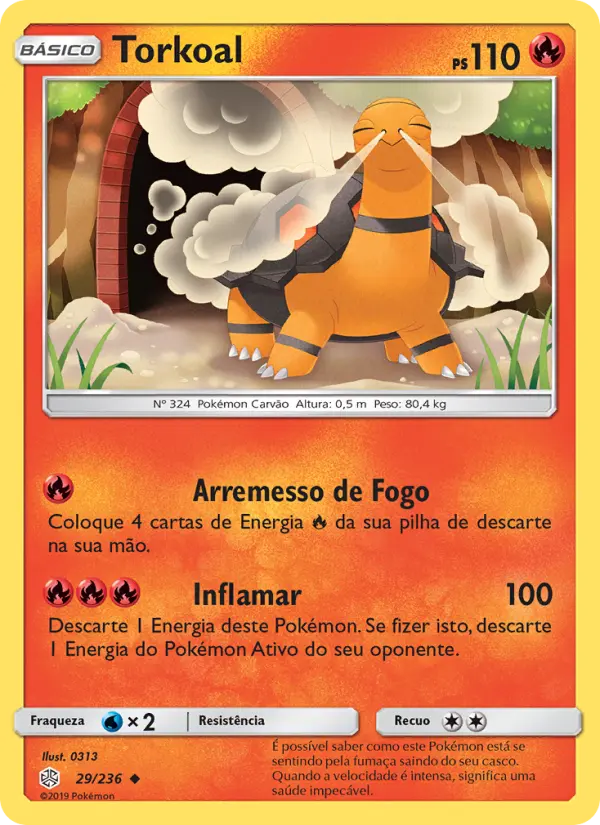 Carta 29