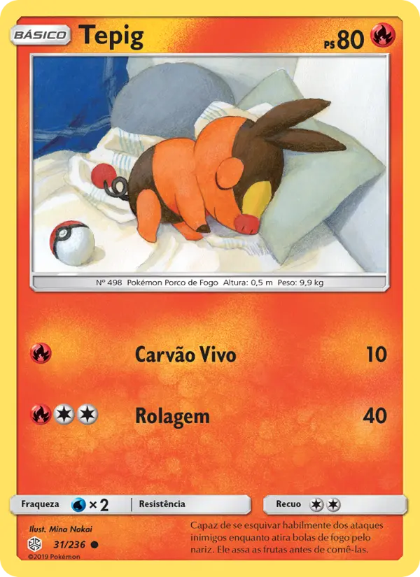 Carta 31