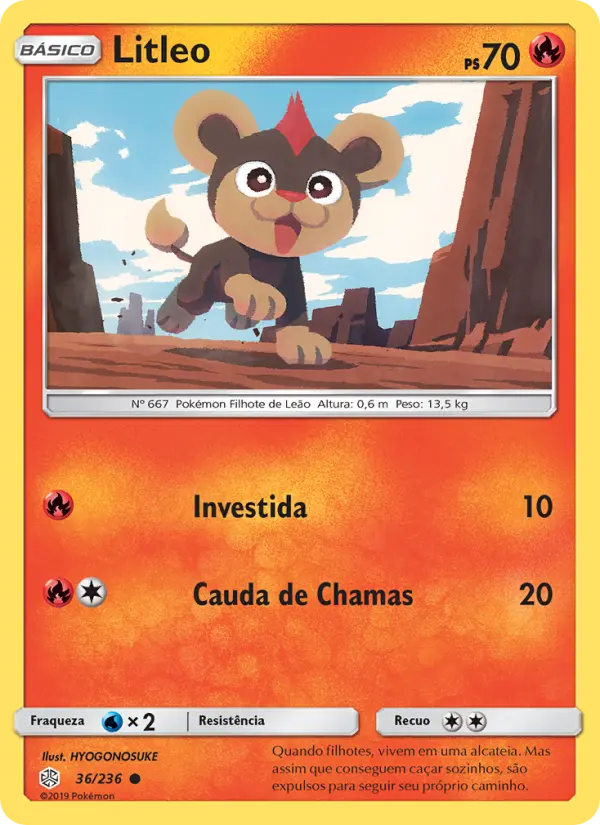 Carta 36
