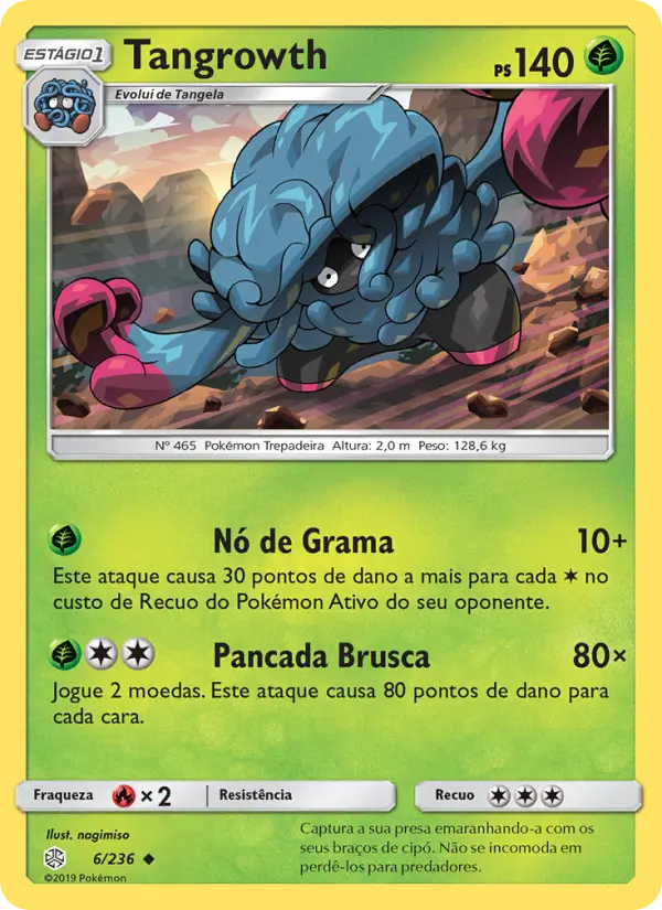 Carta 6