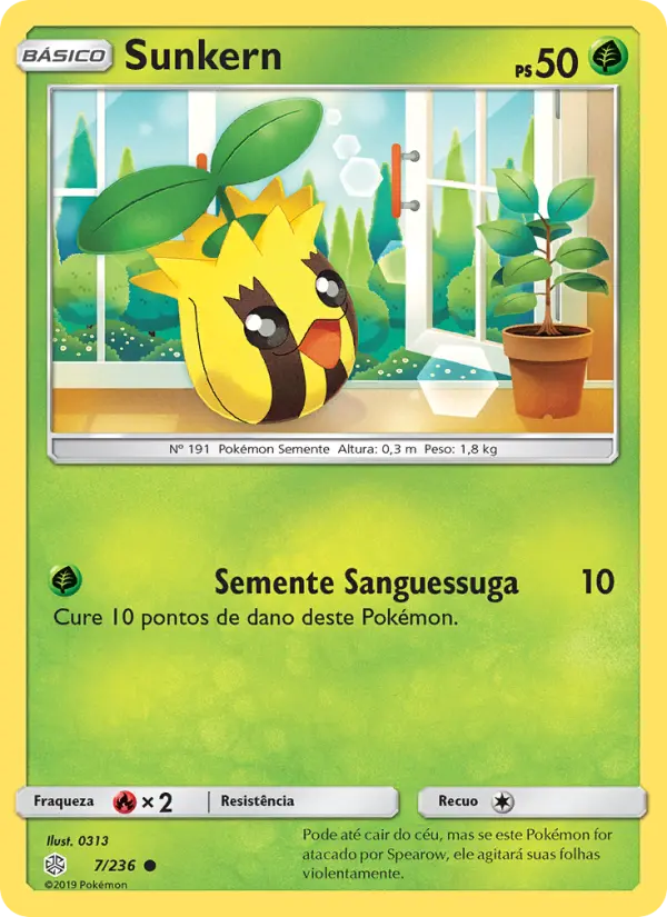 Carta 7