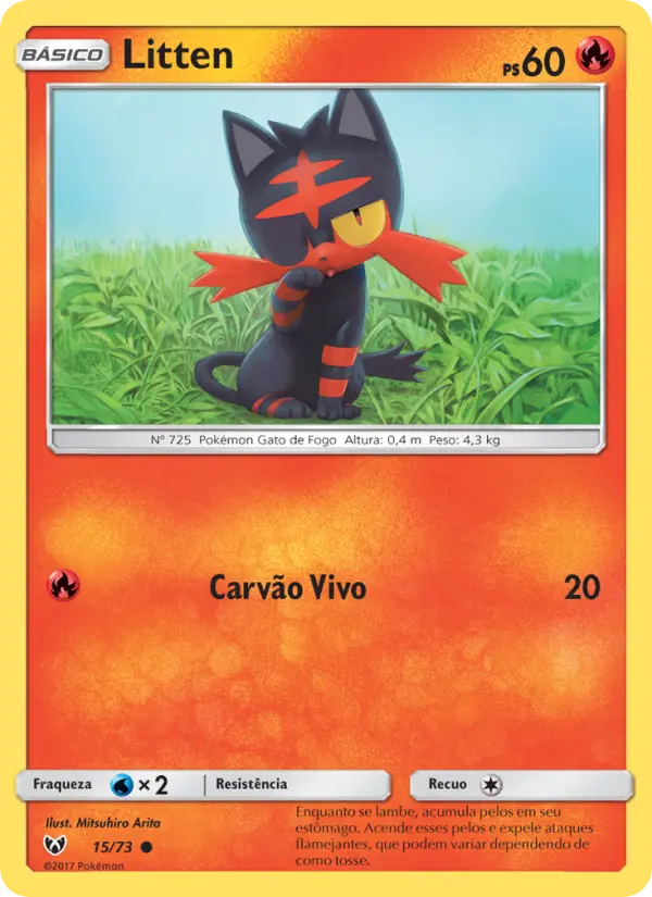 Carta 15