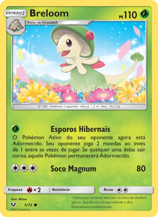 Carta 5