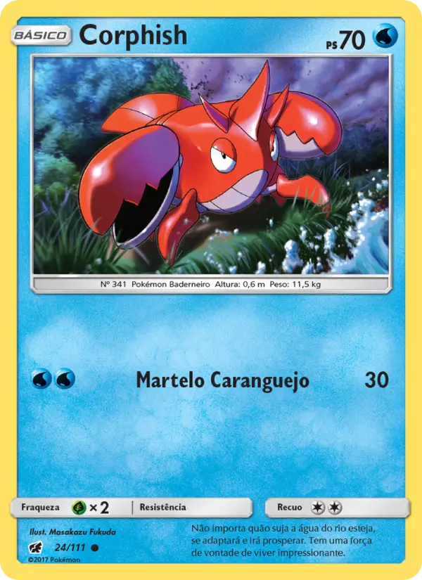Carta 24