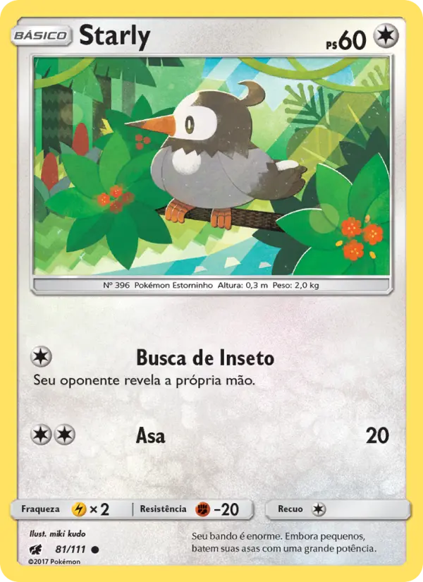 Carta 81
