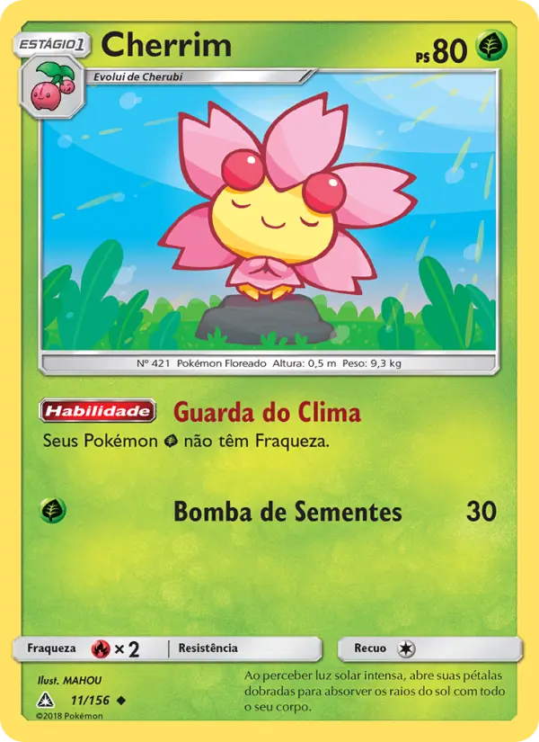 Carta 11