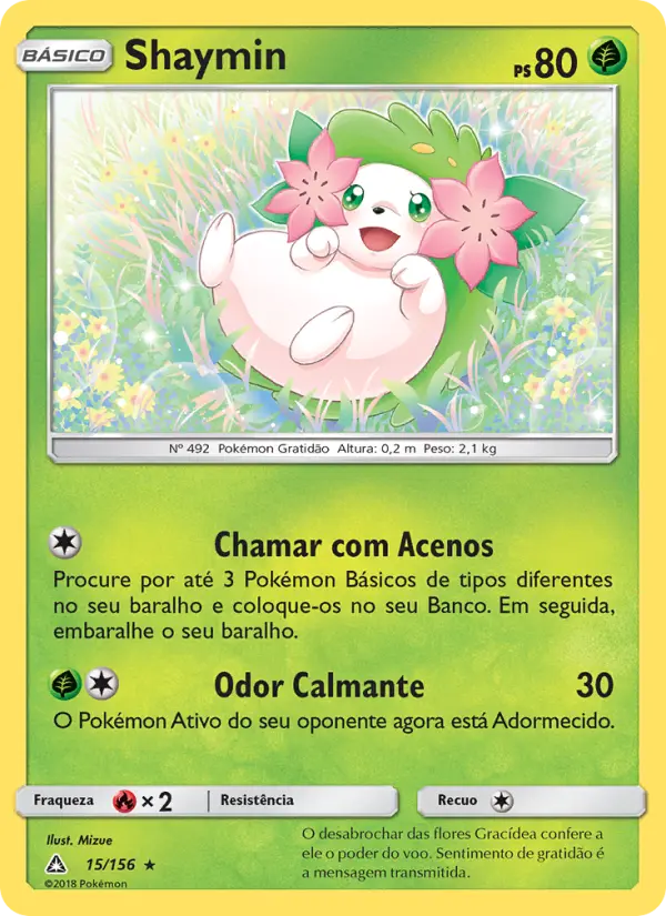 Carta 15