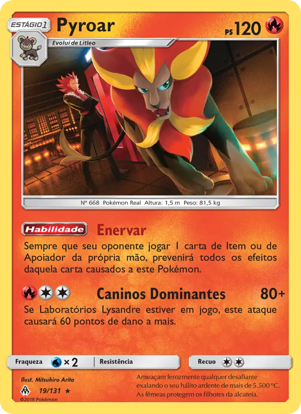 Carta 19