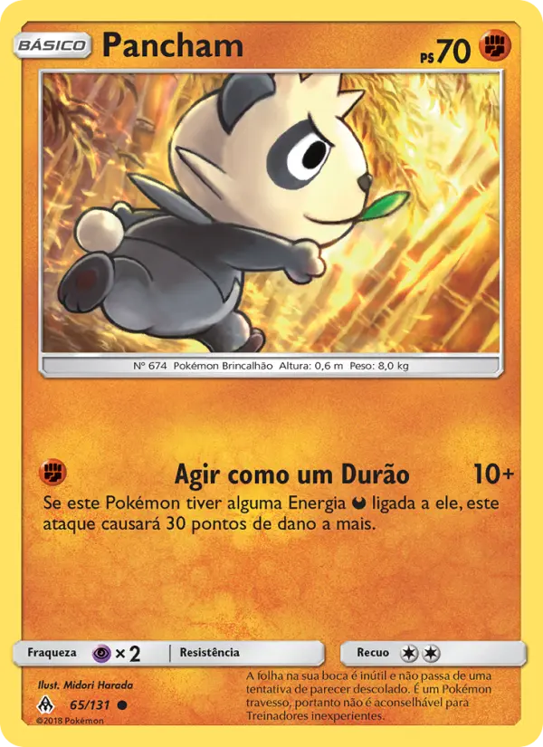 Carta 65