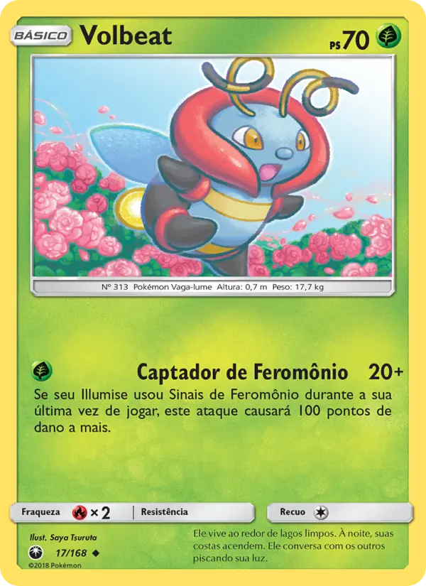 Carta 17