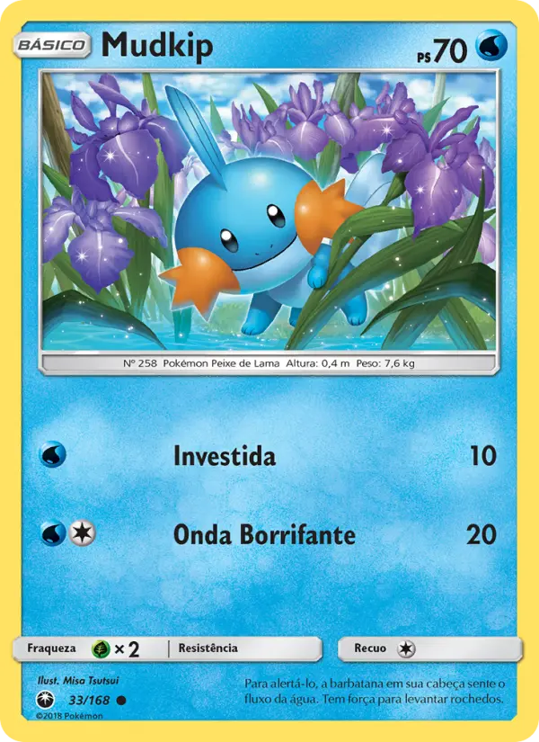 Carta 33