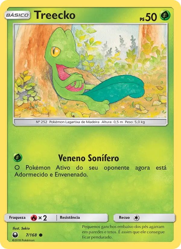 Carta 7