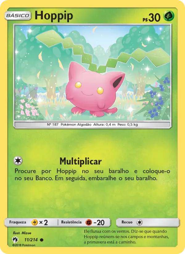 Carta 11