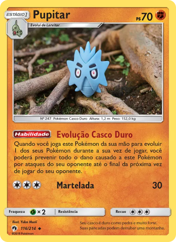 Carta 116