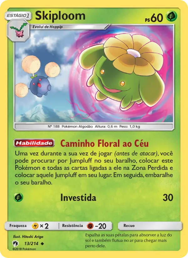 Carta 13