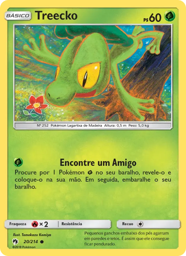 Carta 20