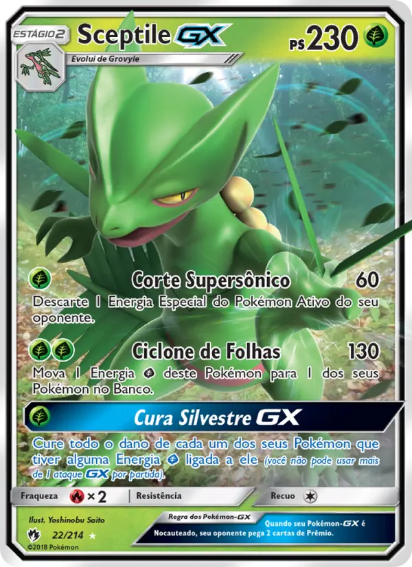 Carta 22
