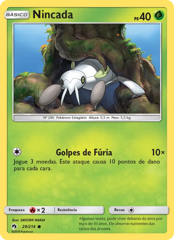 Carta 29